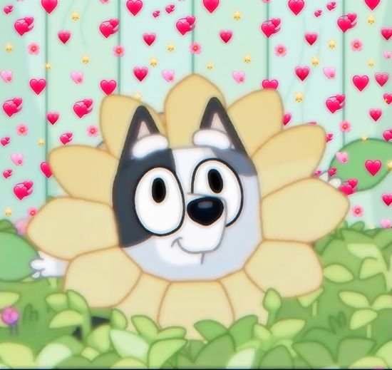 Muffin Heeler Fan Theories and Popular Discussions Spark Online Buzz